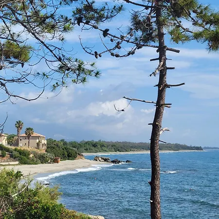 דירה Les Jardins De La 20230 Marine De Bravonne