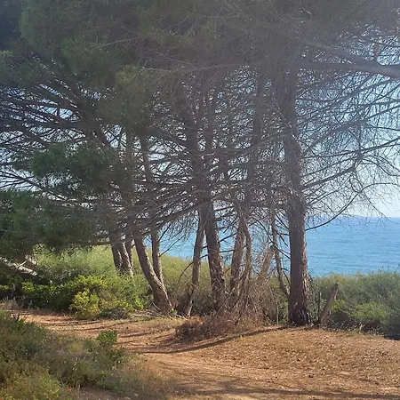 아파트 Les Jardins De La 20230 Marine De Bravonne